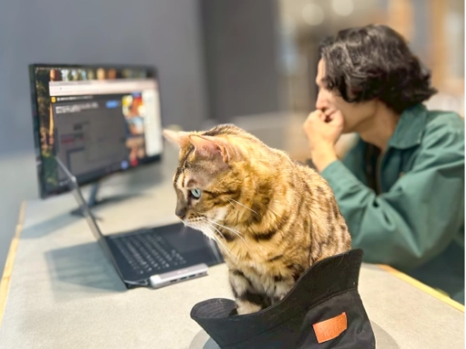 SCATWORKSの保護猫カフェ