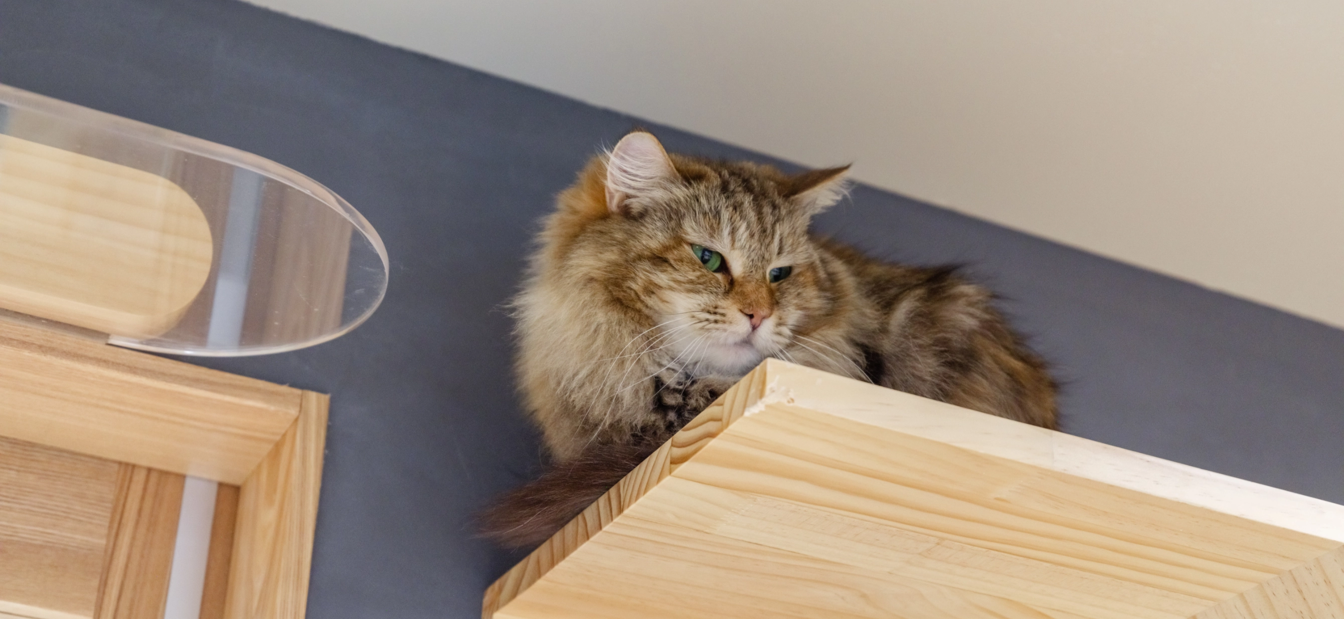 スキャットワークス料金システム
