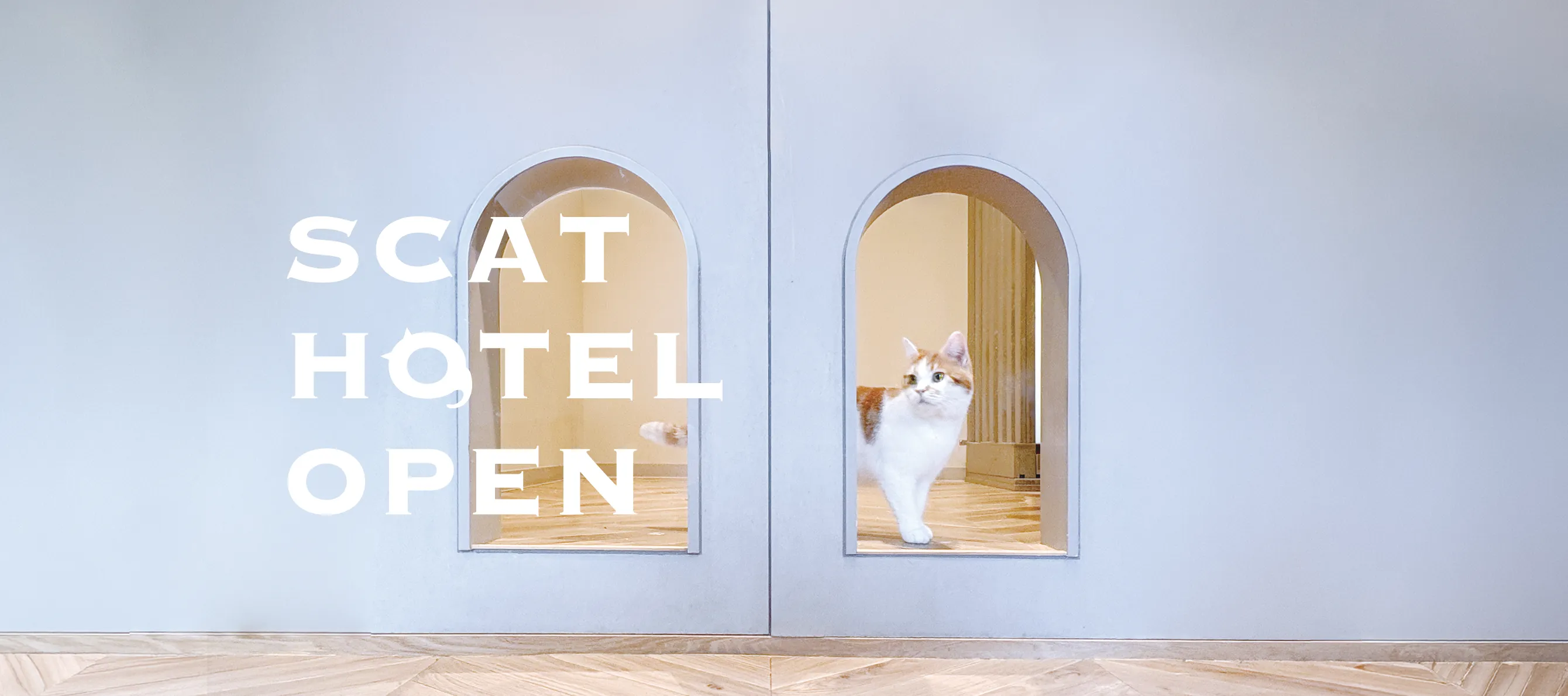 猫専用トリミング・グルーミングサロン