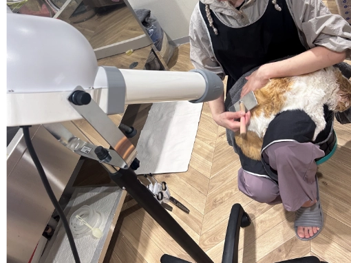 猫専用トリミングサロンの施設内景観4